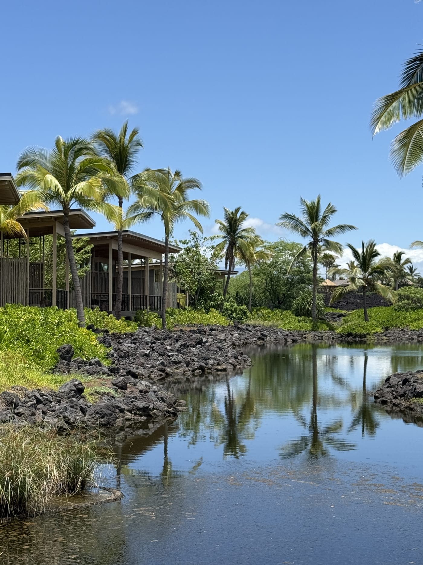 The grounds today, rebuilt with the same care as the original 1966 resort